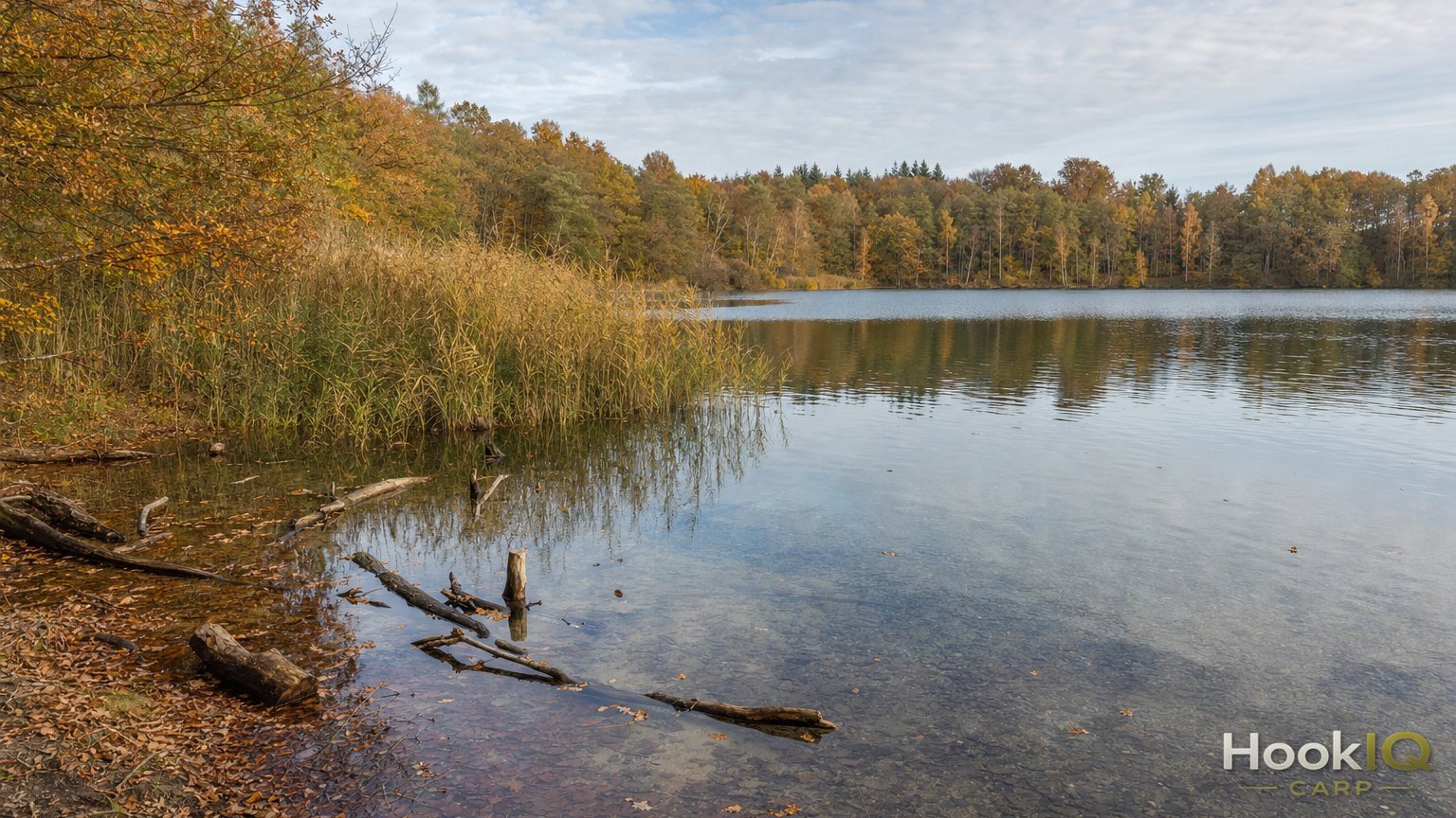 Vorfüttern über Wochen: Einen Herbst-Futterplatz planvoll aufbauen