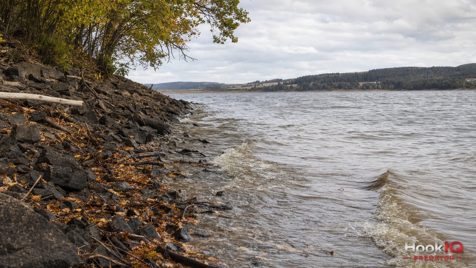 Herbststürme am See: Warum die Windkante jetzt dein bester Freund ist