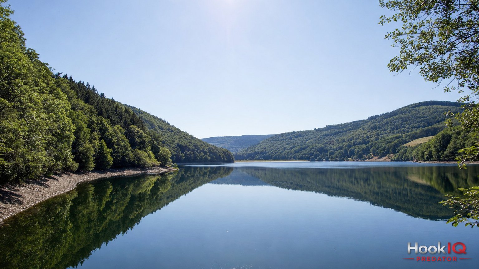 Sommer-Barsch auf Dropshot: Tiefe Plateaus im Stausee