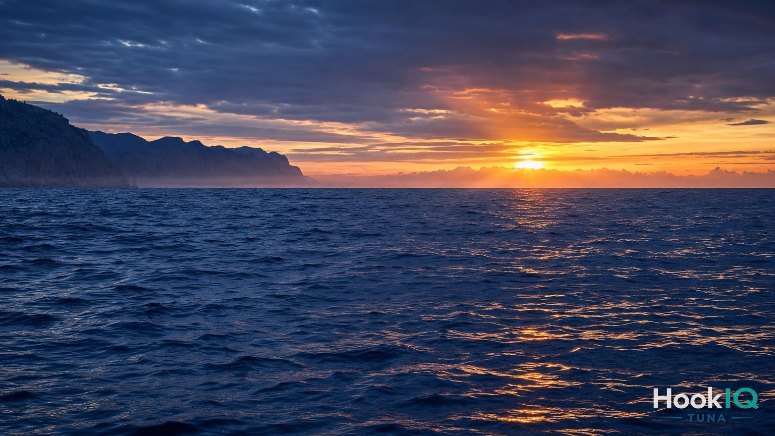Bluefin im Mittelmeer: Wo die Riesen jagen und wie du sie findest