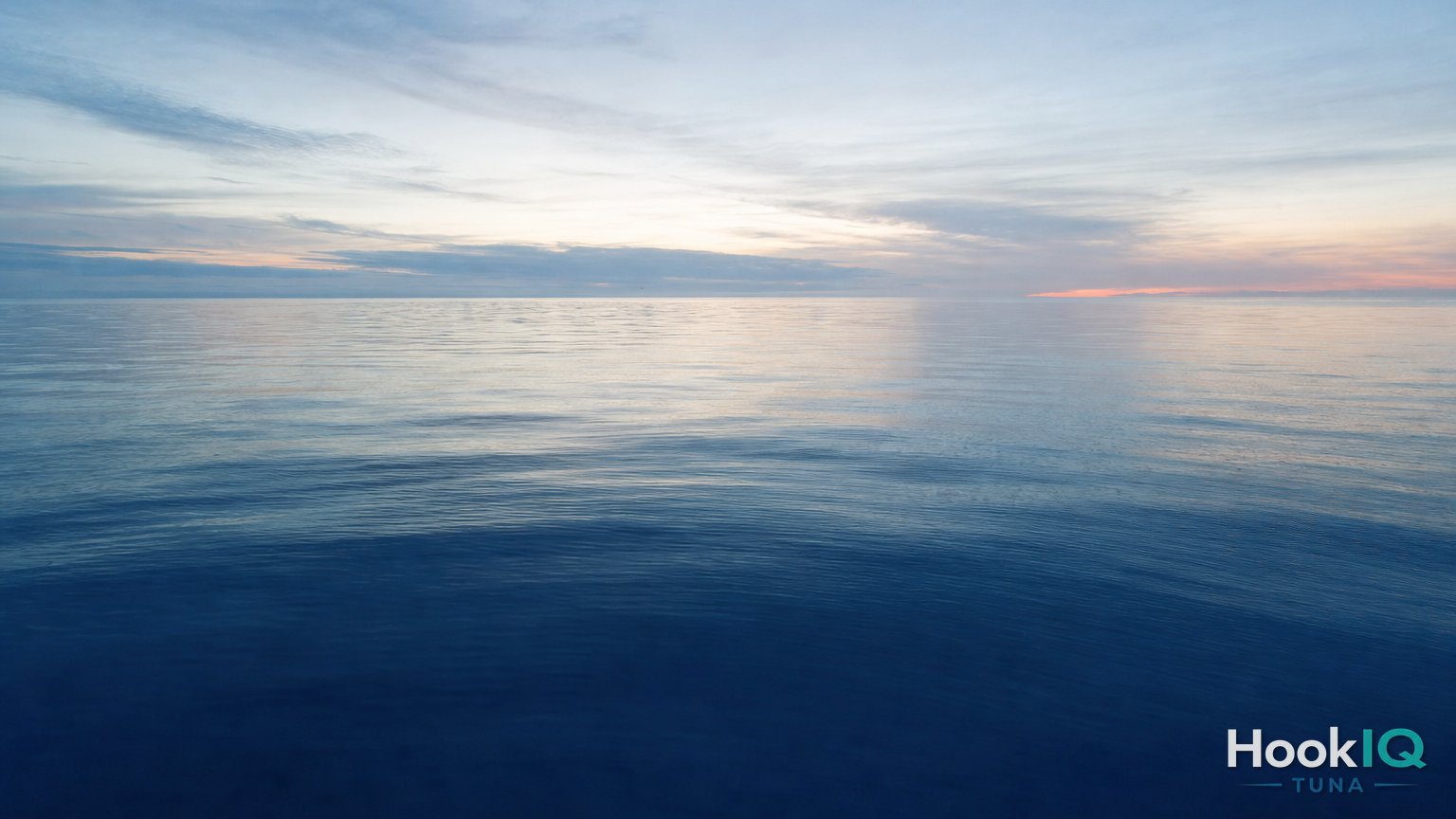 Drohnen-Scouting offshore: Schwärme von oben erkennen