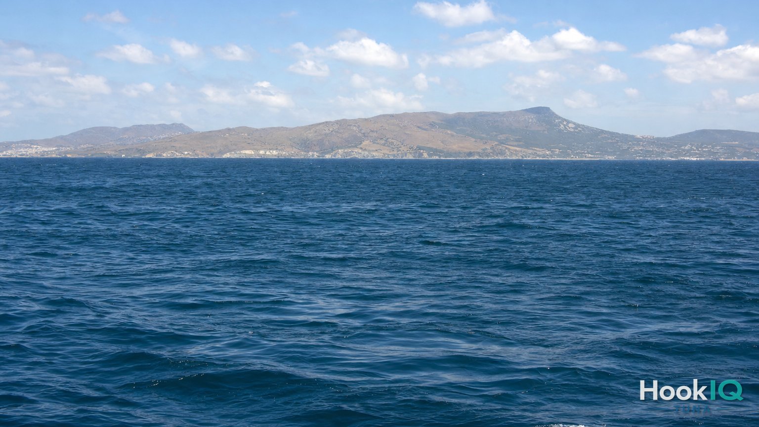 Schwertfisch am Tag: Deep Drop mit Elektrorolle in Gibraltar