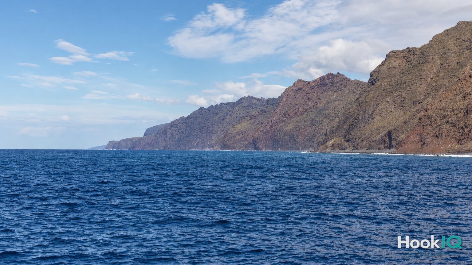 Thunfischarten erkennen: Bluefin, Yellowfin, Albacore und Bigeye im Vergleich